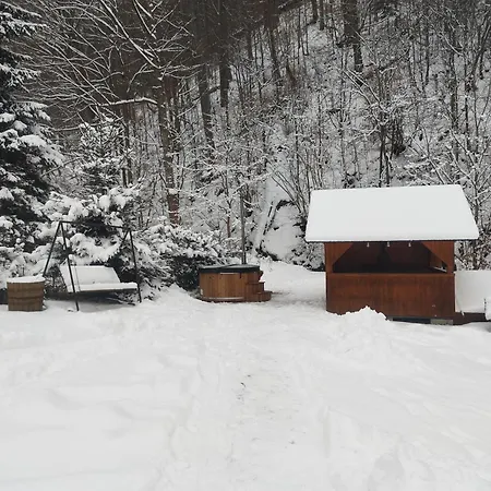 Chata 70 Drevenka Prkenny Dul, Zacler, Krkonose Exterior photo