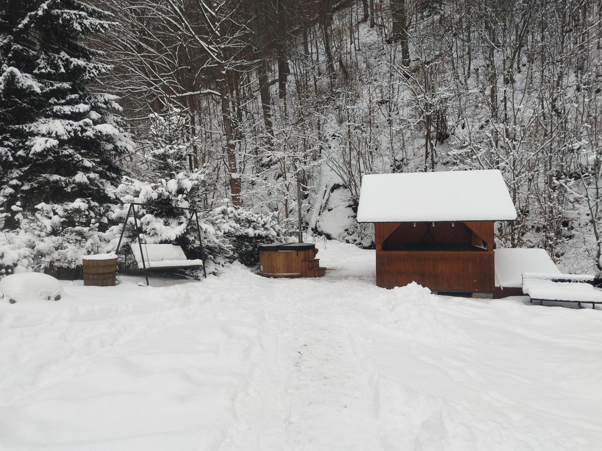 70 Drevenka Prkenny Dul, Zacler, Krkonose Chalet